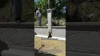 Modern Concrete Fence Installation Method
