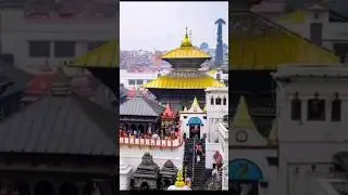 Beautiful View Pashupatinath Temple Kathmandu Nepal | full video on YouTube #viralvideo #shorts