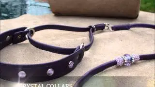 custom showleads , bling dog leads , collars