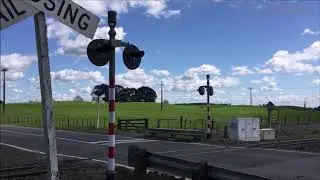 Behind the scenes of trainspotting on the Kinleith Branchline