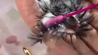 Mink lashes Cleaning