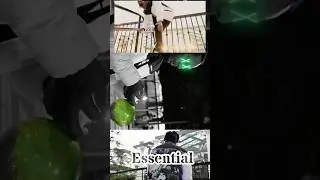 Tips Bloomington ''ESSENTIAL