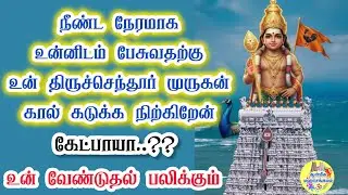 🔥நீண்ட நேரமாக உன்னிடம் பேசுவதற்கு உன் திருச்செந்தூர் முருகன் கால் கடுக்க நிற்கிறேன்💥கேட்பாயா..?💥Vel