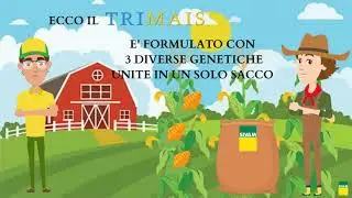 Trimais, il mix per insilato con massima adattabilit&agrave; di campo
