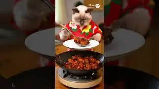 หมูกรอบคั่วพริกเกลือ (Stir-fried Crispy Pork with Chili and Salt) #siamesecat #spicynoodlesoup
