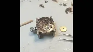 Restauro de Avia cal AS 1560