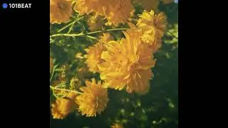 [FREE] june | prod. by Ohma Korty