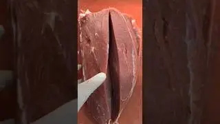 Beef cutting pieces skills #beef #beefcutter #food #chicken #fishcutting #meat #beefyexpert