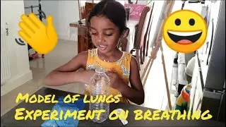 Science experiments- model of lungs, how do lungs work?