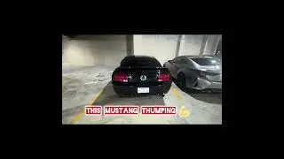 На какой машине вы поедете? #mustang #srt #lexus