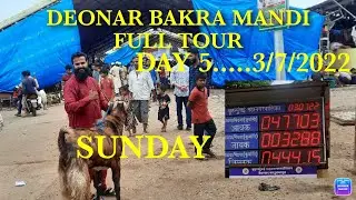 DAY 5.... 3/7/2022....DEONAR BAKRA MANDI FULL TOUR ... LIVE SAUDA.... LOGO KI RAI