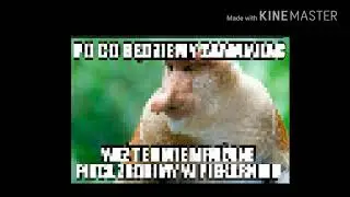 Memy małpa Polak ;D