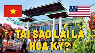 Vì Sao Mỹ Là Nơi Người Việt Chọn Sống Nhiều Nhất Thế Giới?