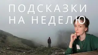 Подсказки на неделю 