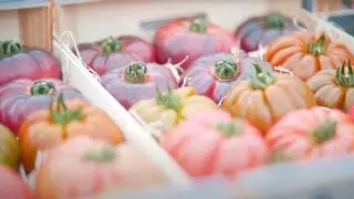 Experiencia de cliente con el Equipo Nutritec - Tomate azul [Donato Garc&iacute;a - La Campechana]