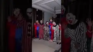 A Paty e o Ded&eacute; encontraram 7 palha&ccedil;os!