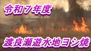 2025年度　渡良瀬遊水地ヨシ焼