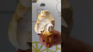 Ice cream in a FISH !!??! #fish #taiyaki #icecream
