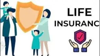 Whole Life AssuranceIt is a unique combination of protection  | insurance company | car insurance