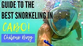Chileno Bay, Best Snorkeling in Cabo!  Do This If Traveling To Cabo San Lucas!