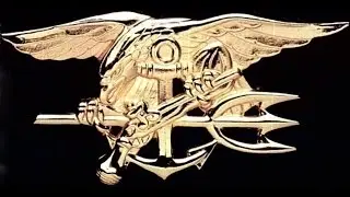 Leadership Under Fire - Reflections of a Navy SEAL Commander
