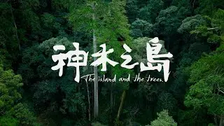 《神木之島》前導預告  