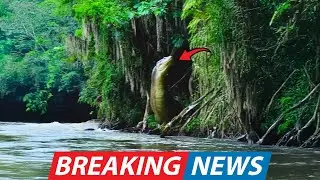 Discovery Channel Crew Stopped Filming After Creature Larger Than Anaconda Emerged From Amazon Mist!