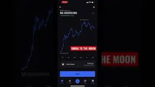 Shiba to the moon #shorts #fyp #viral #youtube #stock #crypto #shiba #money #cryptocurrency #moon