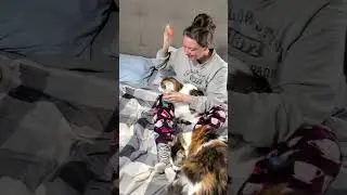 My Rescue Cats' Medicine Routine - Giving Cats Medicine and Giving a Cat an Inhaler for Asthma