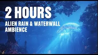 2 HOURS Jungle Rain & Birds Sounds for Deep Sleep, Study & Relaxation