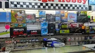 Blade 600 X Demo with Raleigh Hobby Shop