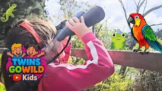Bird Watching For Kids! 🐦 Discover Why Wetlands Are Important For Birds, Frogs & Tadpoles! 🐸