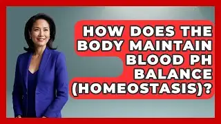 How Does The Body Maintain Blood pH Balance (homeostasis)? - All About Anatomy Answers