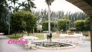 Beautiful Hialeah Park March 1998