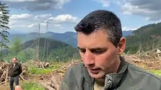 Un dezastru ecologic ce depășește cu mult imaginația multora dintre noi.