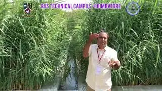 Effective Sewage Treatment methods