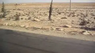 Syrian Desert
