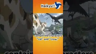 Hidden Wordplay in Haikyuu!! You Never Notice in Subtitles　CAT 🐱 vs CROW 🐦　SUN ☀️ vs SHADOW 🌑