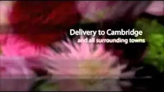 Flower Delivery Cambridge