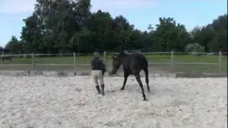 Franco Vella et Frascuelo SG