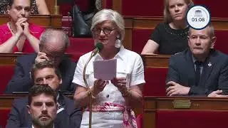 Mme Josiane Corneloup - Industrie