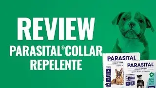 REVIEW PARASITAL: Collar repelente  | DosFarma