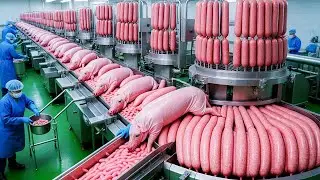 Inside Australia's BIGGEST Pig Farms 🐷 | $1,000,000,000 Industry EXPOSED!