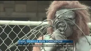 Weekend events: Gorilla Run and Tattoo Art Revival