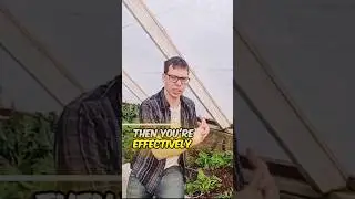 Two layers of plastic on a greenhouse. #greenhouse