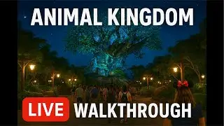 Animal Kingdom walkthrough That went South....