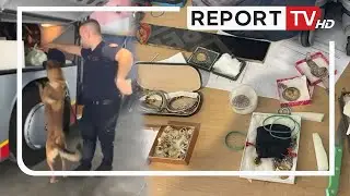 Durr&euml;s, u kap&euml;n n&euml; port duke futur bizhuteri floriri dhe argjendi, n&euml;n hetim 2 shofer&euml;t e autobusit!