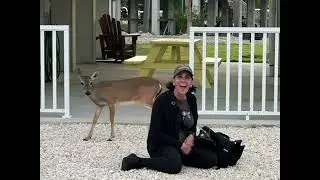 Oh, Deer! Endangered Endemic Key Deer!