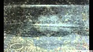 How To Service Dry Cleaning Rugs In Lantana