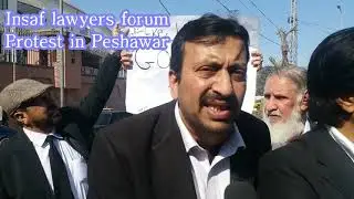 Insaf lawyers forum protest